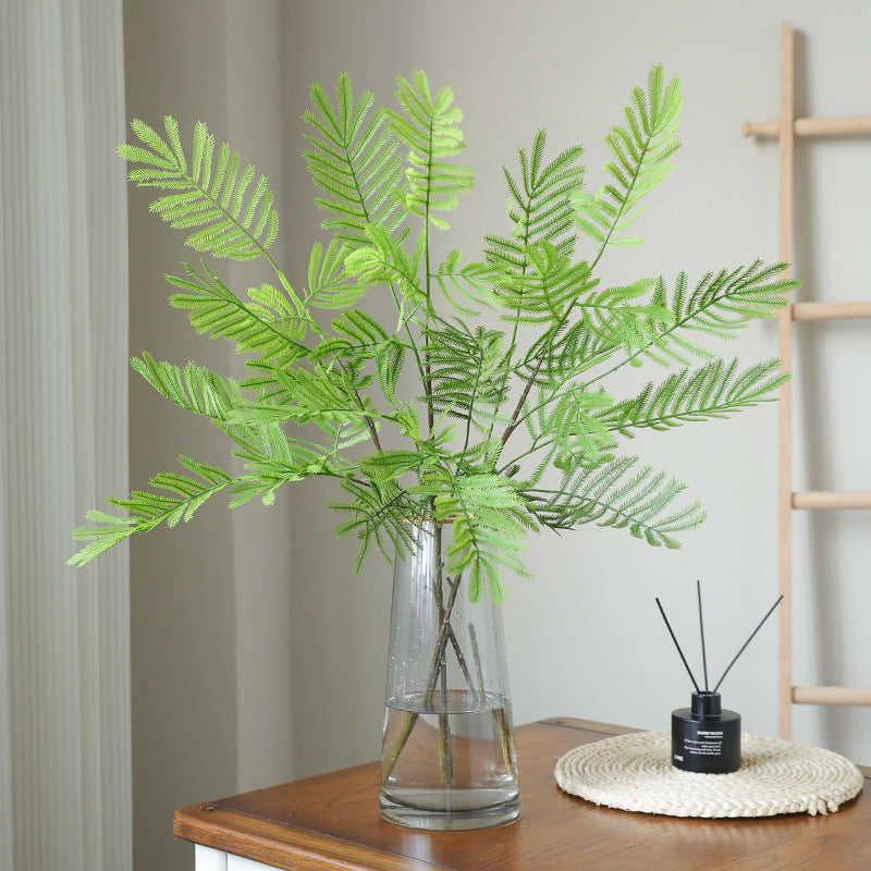 Single Stem Sensitive Fern - Charming Forest-Style Décor for Gardens, Balconies, and Office Spaces - Ideal for Plant Walls and Decorative Flower Boxes