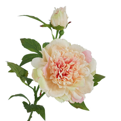 Soft Touch Moisturizing Peony and Peony Artificials - Elegant Indoor Home Decoration, Perfect Floral Arrangement for Stunning Photography Props