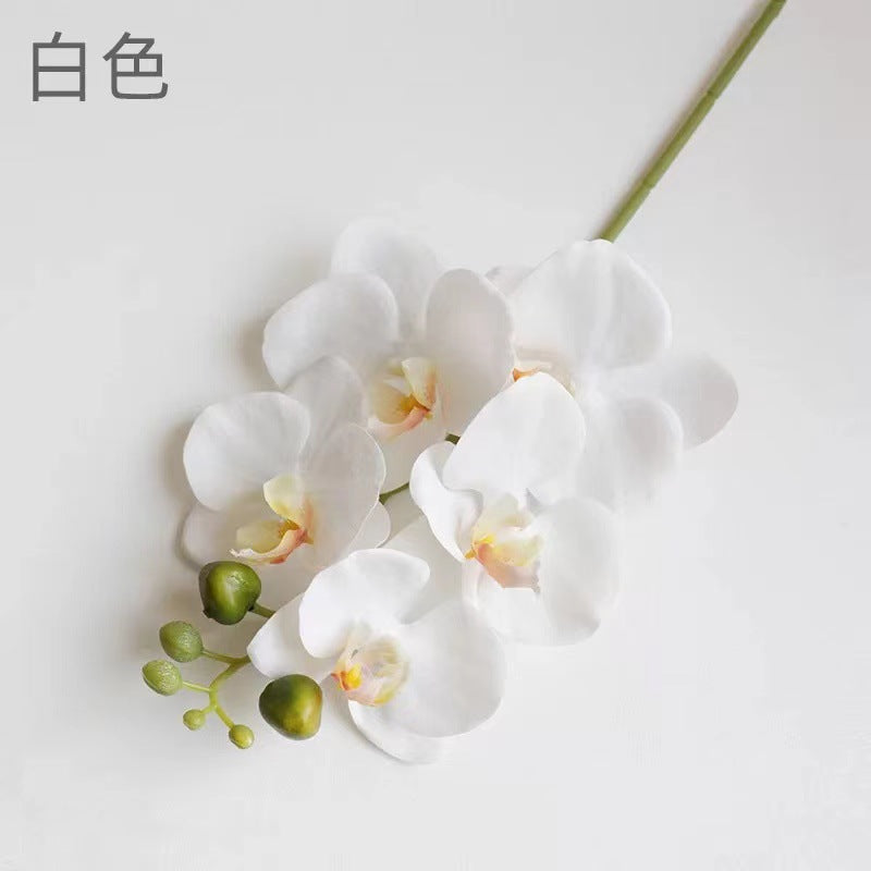 Realistic Short-Stem White Orchid - High-Quality, Moisture-Resistant Flower Photography Prop for Stunning Floral Arrangements