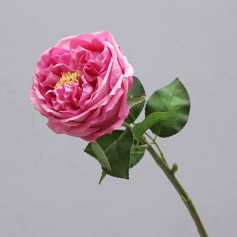 Single Stem Realistic Austin Rose - Luxurious Moisture-Infused Faux Flower for Stunning Home Decor, Perfect for Living Room Photography and Elegant Floral Arrangements