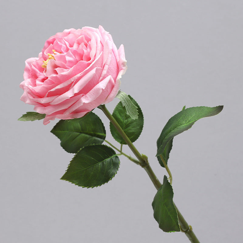 Single Stem Realistic Austin Rose - Luxurious Moisture-Infused Faux Flower for Stunning Home Decor, Perfect for Living Room Photography and Elegant Floral Arrangements