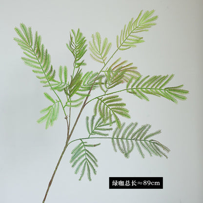 Single Stem Sensitive Fern - Charming Forest-Style Décor for Gardens, Balconies, and Office Spaces - Ideal for Plant Walls and Decorative Flower Boxes