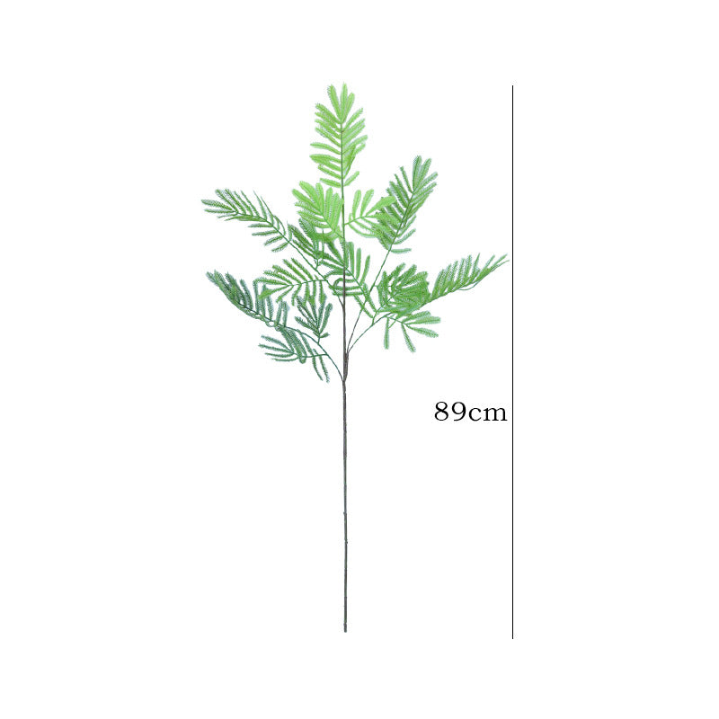 Single Stem Sensitive Fern - Charming Forest-Style Décor for Gardens, Balconies, and Office Spaces - Ideal for Plant Walls and Decorative Flower Boxes