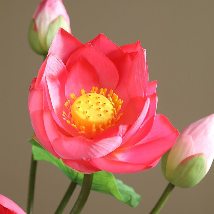 Realistic Lotus Flower & Leaf Decorative Arrangement - Ideal for Zen Gardens, Buddha Halls, and Aquatic Landscaping Photography