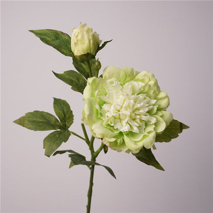 Soft Touch Moisturizing Peony and Peony Artificials - Elegant Indoor Home Decoration, Perfect Floral Arrangement for Stunning Photography Props