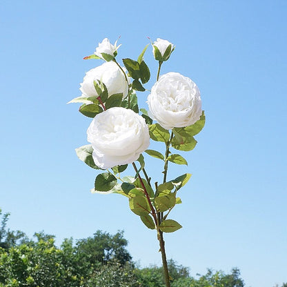 Luxurious Faux Rose Bouquet - Elegant British Austin Roses for Home Décor, Wedding Celebrations, and Stunning Photography Backdrops