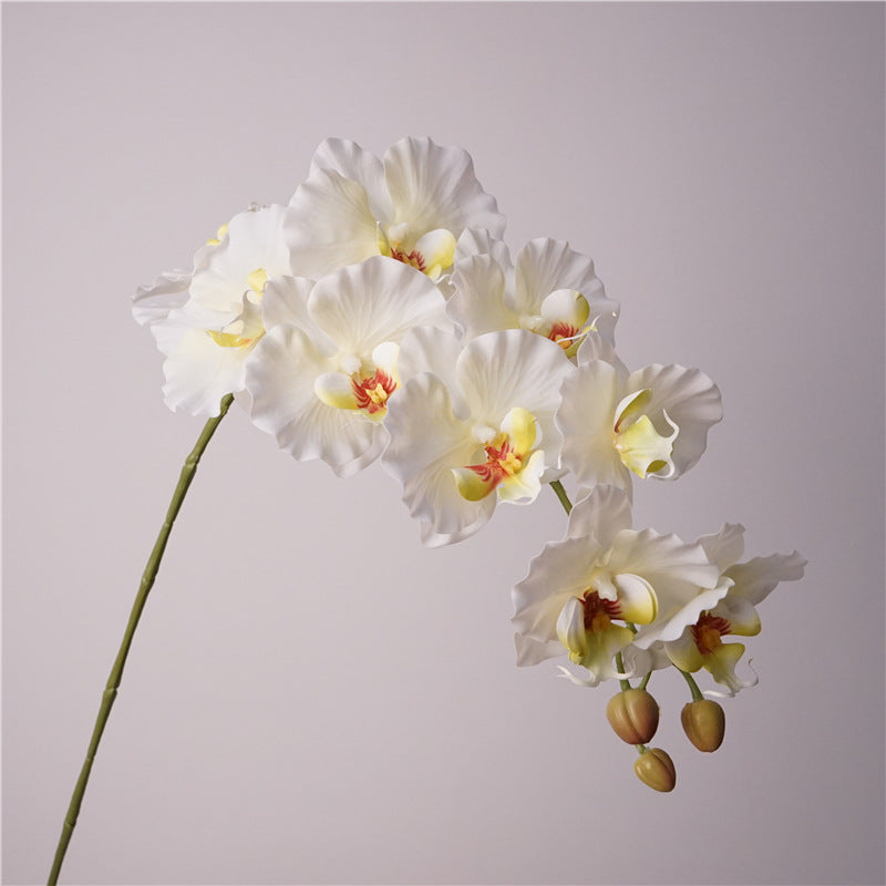 9-Stem European-Style Orchid Bloom Arrangement – Chic Korean-Inspired Floral Decor for Stunning Photography and Elegant Home Decor