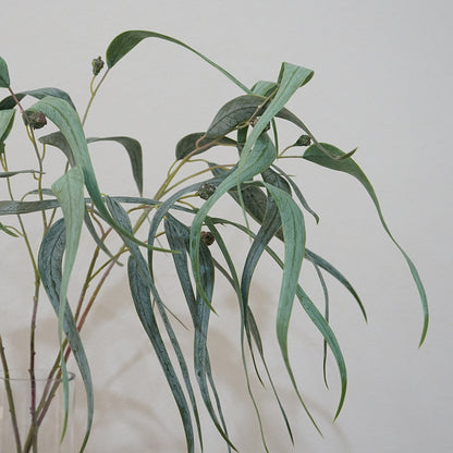 Nordic-Inspired Faux Eucalyptus Plants with Curved Leaves - Perfect Decorative Floral Arrangement for Your Living Room Featuring Soft Textured Eucalyptus and Willow Leaves