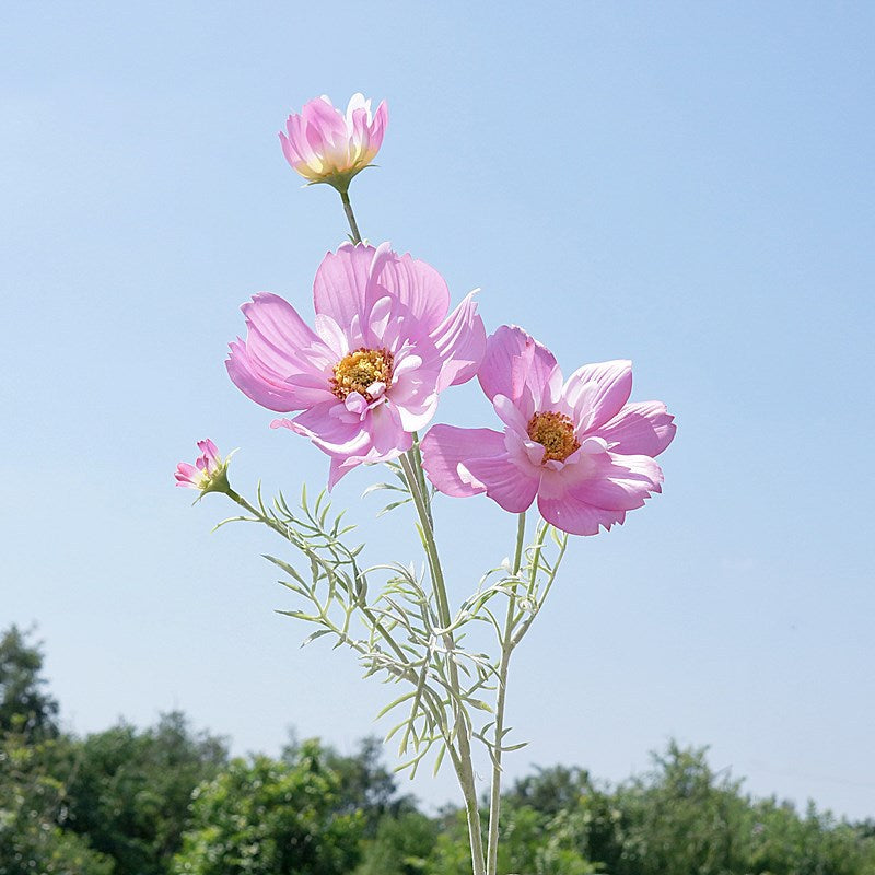 Stunning Artificial Queen Cosmos Flower - Single Stem Decorative Floral Arrangement for Home, Weddings, and Events - Perfect for Soft Decor and Stylish Embellishments