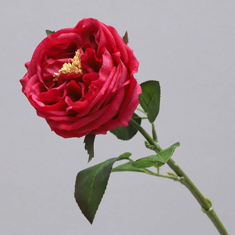 Single Stem Realistic Austin Rose - Luxurious Moisture-Infused Faux Flower for Stunning Home Decor, Perfect for Living Room Photography and Elegant Floral Arrangements