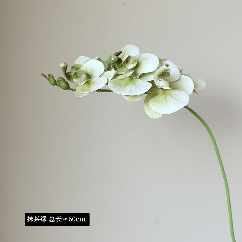 Elegant 3D Printed Realistic Single Stem 7-Head Phalaenopsis Orchid - Luxurious Home Décor for Living Room and Dining Table Arrangements