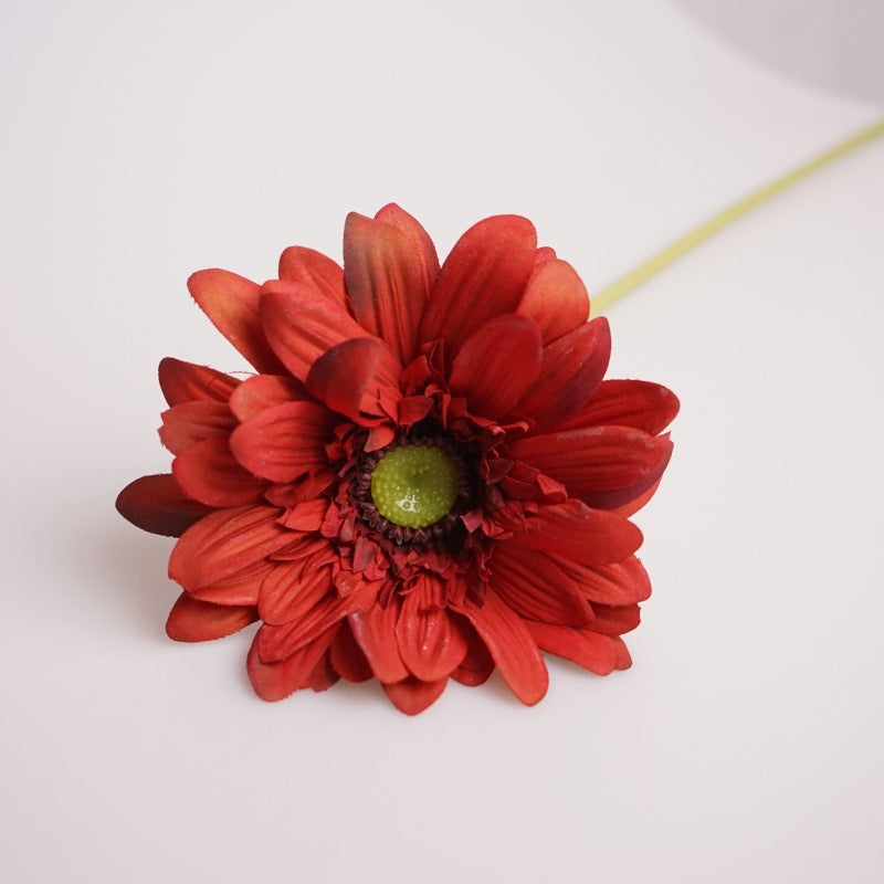 Luxurious Touch Moisturizing African Daisy Realistic Single Stem Faux Flower - Perfect for Home Décor, Soft Furnishings, and Photography