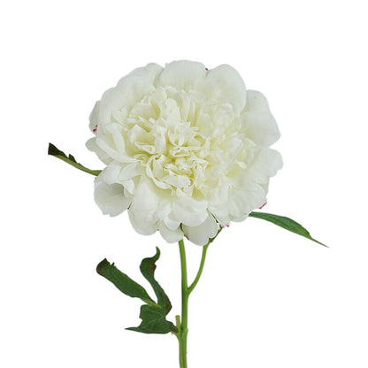 High-Quality Artificial Peony Flowers for Home Décor - Luxurious Touch for European Table Settings & Photography Props