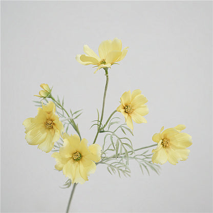 Charming Artificial Single Stem Princess Cosmos Flower - Perfect Home Decor Accent for Weddings, Events, and Everyday Elegance