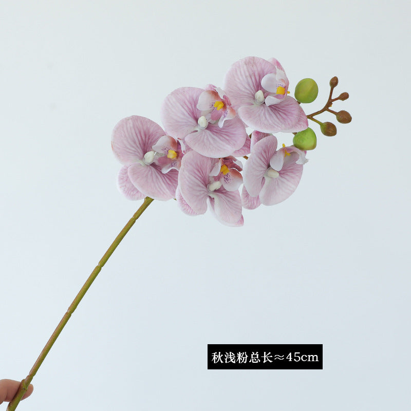 Luxurious Single Stem 5-Head Orchid Simulation Flower for Home and Hotel Decor – Perfect for Weddings, Events, and Stylish Interiors