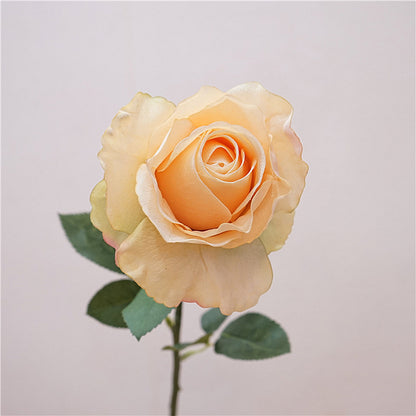 Quality Soft Feel Moisturizing Rose Stem - Elegant Minimalist Floral Decoration for Weddings and Home Decor