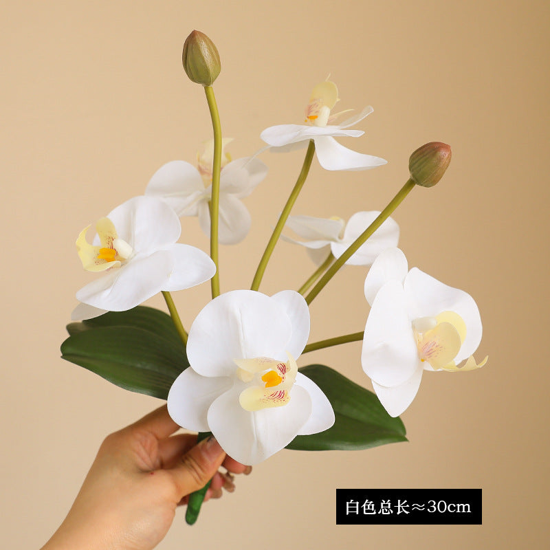 Elegant 8-Head Faux Orchid Bundle with Realistic Feel - Luxurious Home Decor Artificial Phalaenopsis Flowers for Exquisite Floral Arrangements