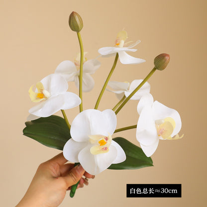 Elegant 8-Head Faux Orchid Bundle with Realistic Feel - Luxurious Home Decor Artificial Phalaenopsis Flowers for Exquisite Floral Arrangements