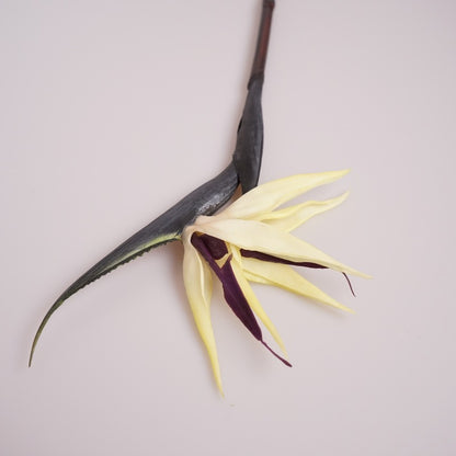 Realistic Touch Soft Rubber Bird of Paradise Flower - Stunning Orchid Stem for Weddings, Home Decor, and Artistic Floral Arrangements