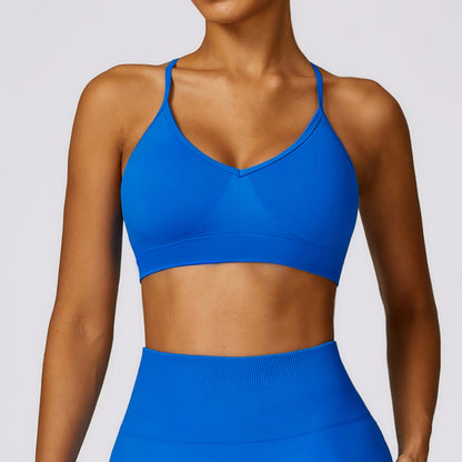 Seamless Dry Fit Yoga Sports Bra Versatile High Performance Women's Activewear