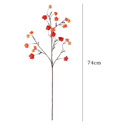 Realistic Decorative Lantern Berry – Perfect Autumn Floral Design Prop for Captivating Scene Decoration with Ground Cherry Accents