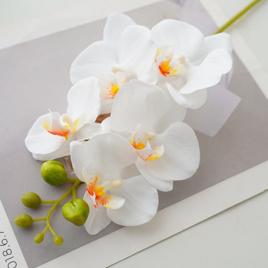 Stunning Five-Head Realistic Touch Moisturizing Faux Orchid - Perfect for Weddings, Photography, and Interior Decoration