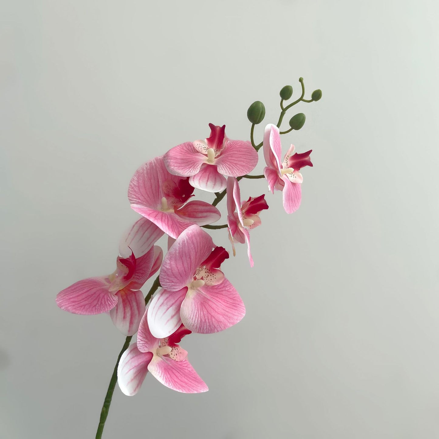 Elegant 3D Printed Orchid Flowers - Realistic 7-Head Faux Orchid Design for Luxurious Home Decor and Chic Living Room Accents