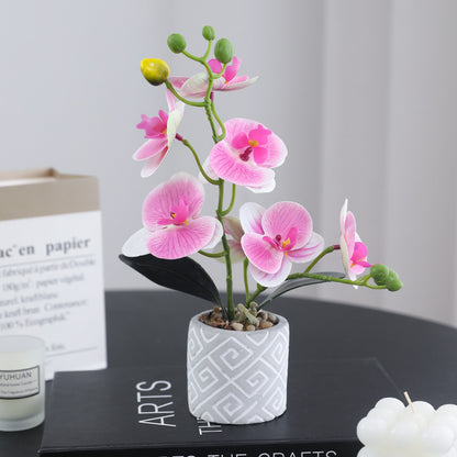 Stunning 2-Branch Orchid Plant Pot - Lifelike Home Décor Floral Arrangement - Perfect Indoor Butterfly Orchid Bonsai & Elegant Housewarming Gift