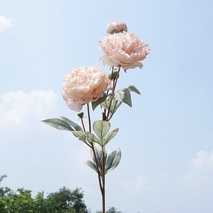 Elegant Single Stem Court-Style 3-Head Peony Faux Flowers with Burnt Edges - Perfect for Weddings, Photographic Studios, Home Decor, and Floral Arrangements