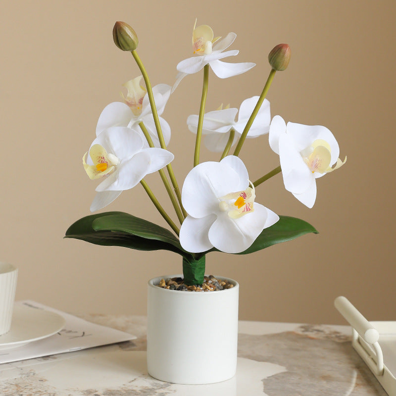 Elegant 8-Head Faux Orchid Bundle with Realistic Feel - Luxurious Home Decor Artificial Phalaenopsis Flowers for Exquisite Floral Arrangements