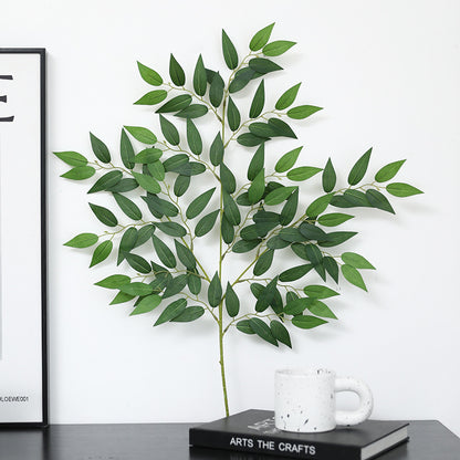 Realistic Faux Green Plant - Olive Leaf Tree Decorative Accent for Weddings, Living Rooms, and Interior Photography