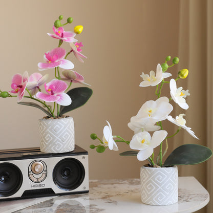 Lifelike Orchid Potted Plant for Home Decor & Wedding Photography – Perfect for Hotels, Desks, Living Rooms, and Outdoor Events