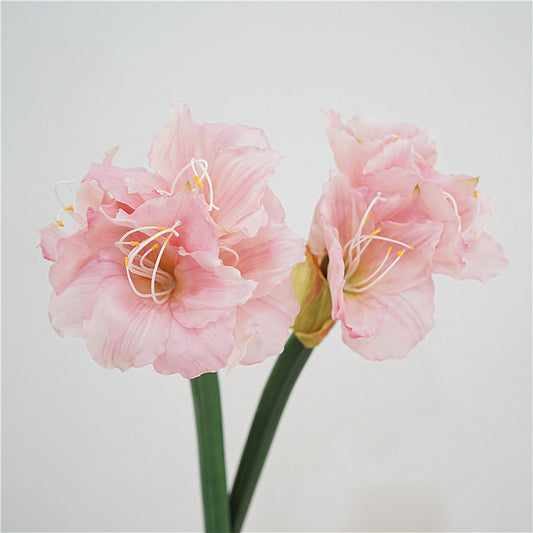 Quality Touch Realistic Single-Stem Amaryllis Decoration Flower - Perfect for Living Room Floor Decor and Wedding Floral Arrangements