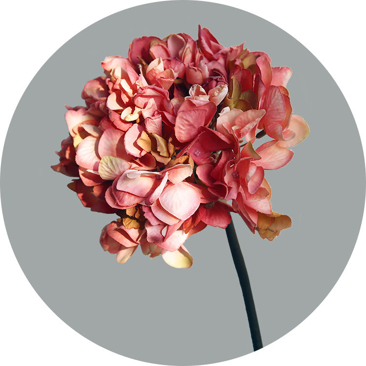 Single Stem Burnt Edge Dry Hydrangea Faux Flower - Perfect for Home Decor, Retail Displays, and Elegant Arrangements