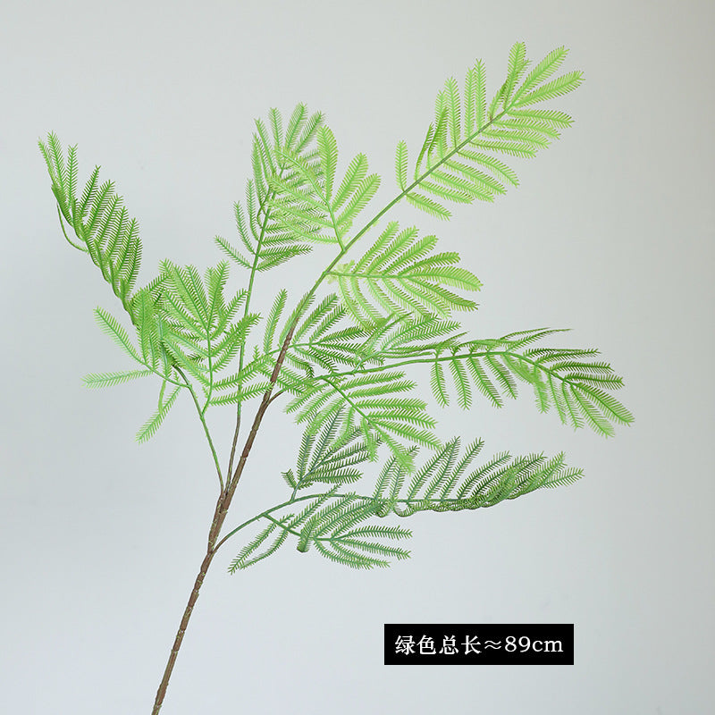 Single Stem Sensitive Fern - Charming Forest-Style Décor for Gardens, Balconies, and Office Spaces - Ideal for Plant Walls and Decorative Flower Boxes