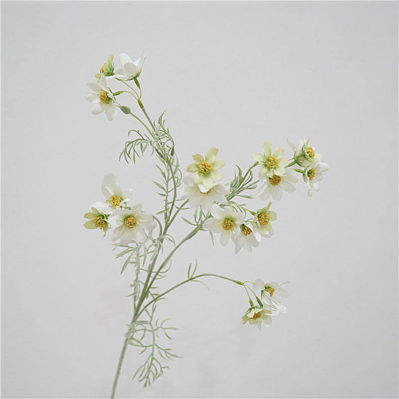 Elegant Scandinavian-Inspired Long Stemmed Artificial Persian Daisy Flowers for Bedroom and Living Room Décor – Perfect Faux Floral Arrangement for Tables and Vases