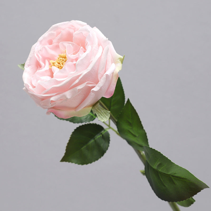 Single Stem Realistic Austin Rose - Luxurious Moisture-Infused Faux Flower for Stunning Home Decor, Perfect for Living Room Photography and Elegant Floral Arrangements