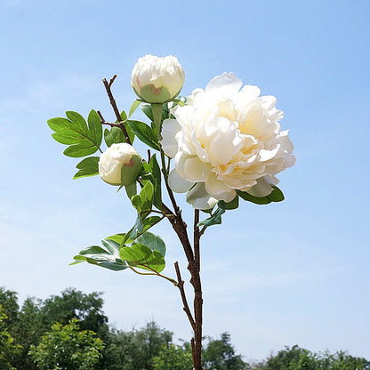 Stunning Artificial Peony Flower Stem - Exquisite Realistic Faux Floral Decor for Home Photography and Wedding Celebrations