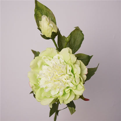 Lifelike Green Peony Artificial Flowers - Moisture-Enhancing Touch, Perfect for Indoor Dining Table Arrangements, Staging, and Photography Props