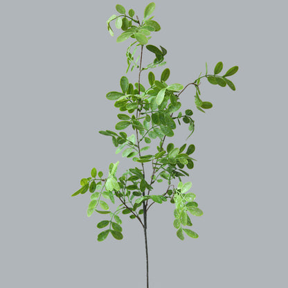 Realistic Artificial Sophora Japonica Leaves - Perfect for Home Décor, Floral Arrangements, Photography Props, and Creative Craft Projects