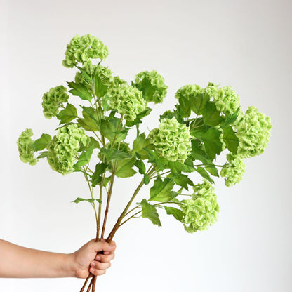 Realistic 5-Head Long-Stem Snowball Hydrangea Artificial Flowers – Perfect for Wedding Decor, Home Decoration, and Special Events