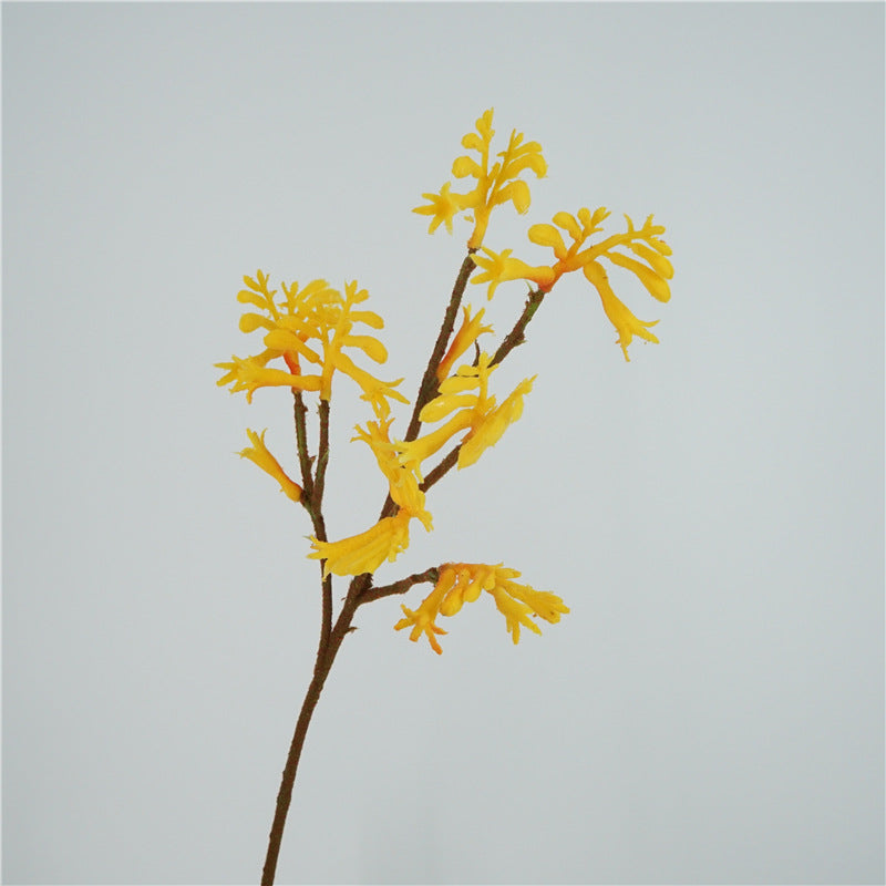 Elegant Scandinavian-Inspired Faux Flowers with Australian Kangaroo Paw for Stunning Home Decor and Photography Props – Perfect for Weddings and Event Styling