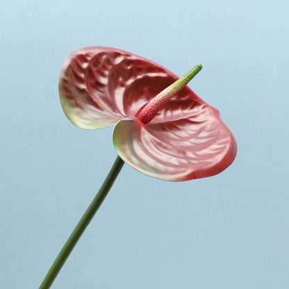 Luxurious Artificial Flamingo Pink Anthurium Flower Arrangement - Perfect for Studio Photography Props and Elegant Home Décor