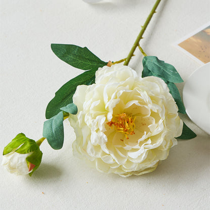 Elegant Artificial Silk Peony Flowers - Realistic Oil Painting Design for Charming Table Decor | Two-Tone Soft Floral Arrangements for Weddings, Home Styling, and Everyday Freshness