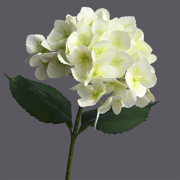 Single Stem Touch-Feel French Hydrangea - Realistic, Moisture-Retaining Artificial Hydrangea Flower for Elegant Home Decoration and Hotel Floral Arrangements