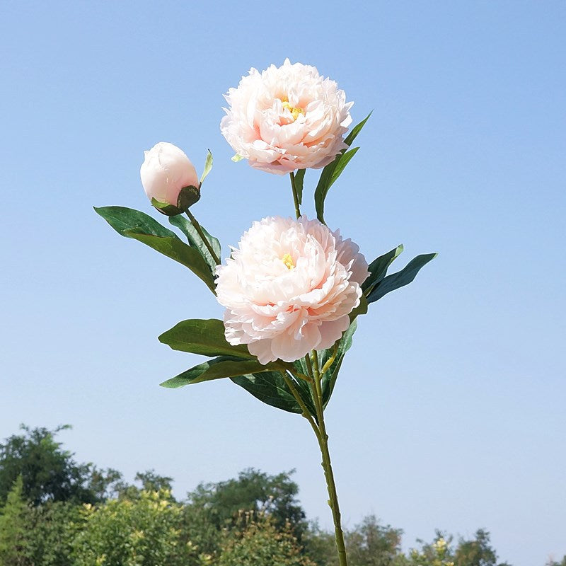 Realistic Artificial Peony Floral Arrangement - 3-Head Yang Fei Peony for Home Decor, Wedding Events, and Photography Styling