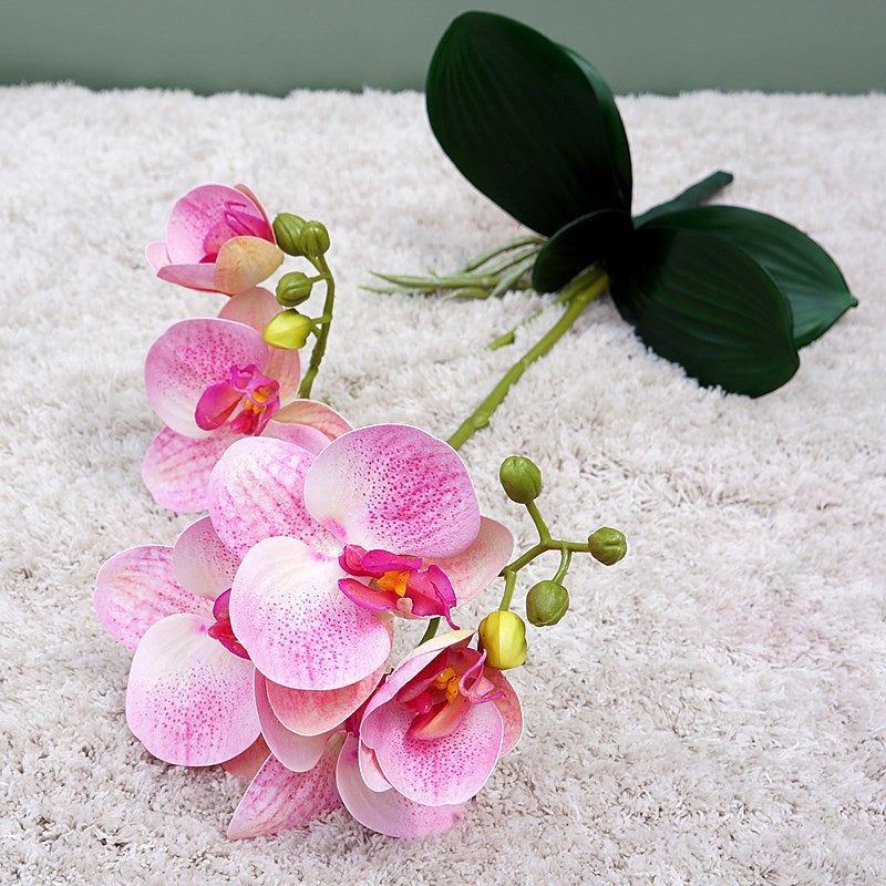 Lifelike Two-Branch Orchid Silk Flowers with Foliage | Perfect for Weddings, Photography, Home Decor & Shop Display | Stunning Simulation Flower Arrangement