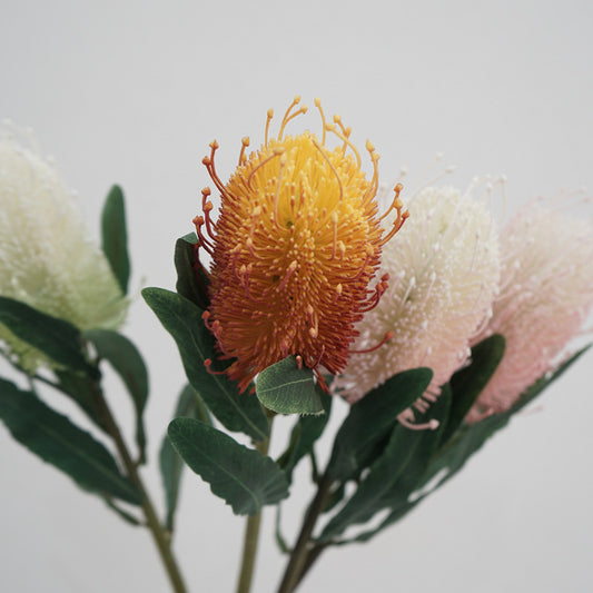 Modern Minimalist Nordic Style Artificial Australian King Protea Flowers for Chic Indoor Decoration - Perfect for Showrooms and Home Interiors