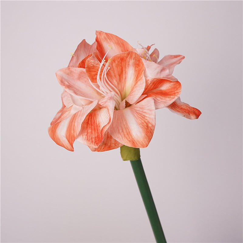 Lifelike Moisturizing Single Stem Amaryllis Flower - Ideal for Home Decor, Wedding Arrangements, and Photography Props