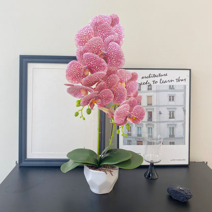 Realistic 3D Printed Orchid Planter Set with Vase – Stunning Artificial Flower Decor for Elegant Home Interiors